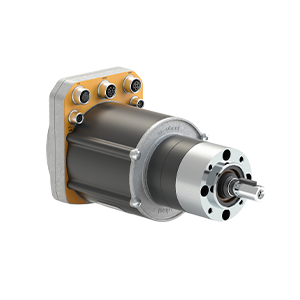 EW2A 000N14x ezSWDcore.14x C 11092024 (Photo DET HD)