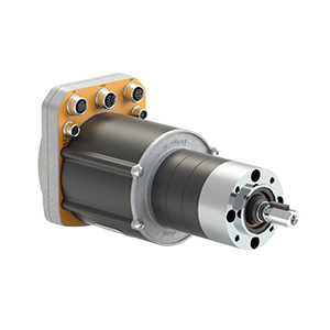 EW2A 000N50x ezSWDcore.50x C 11092024 (Photo DET HD)